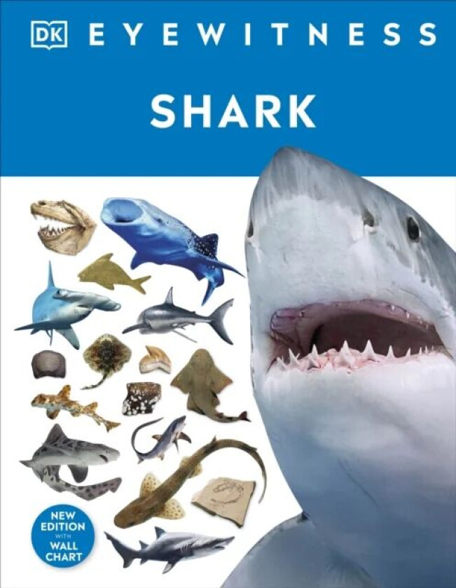 Shark av DK