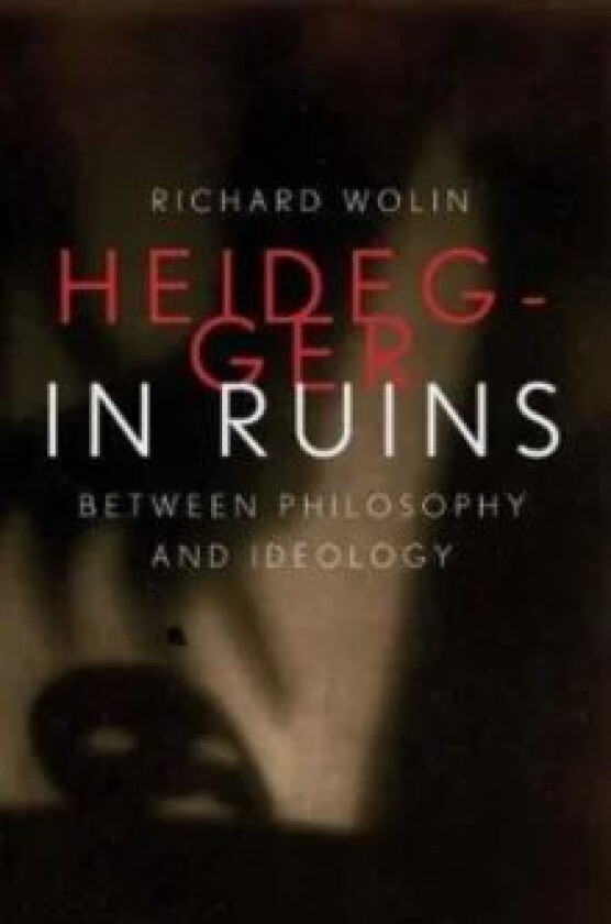 Heidegger in Ruins av Richard Wolin