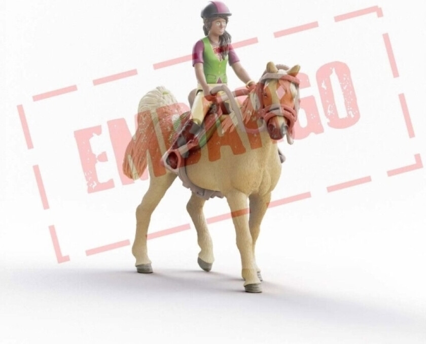 Horse Club Sarah & Mystery