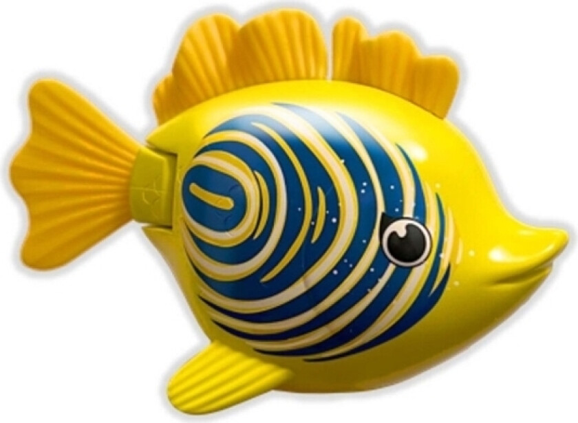 Rainbow Reef Fish - Zebra Fish
