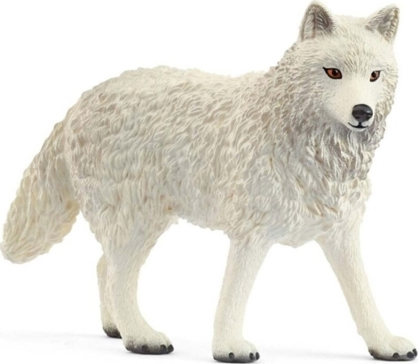 Arctic Wolf