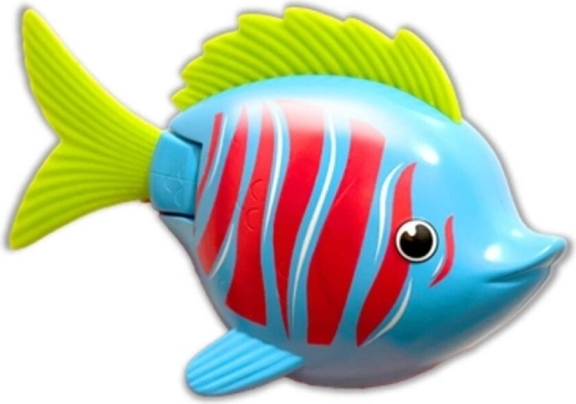 Rainbow Reef Fish - Beta Fish