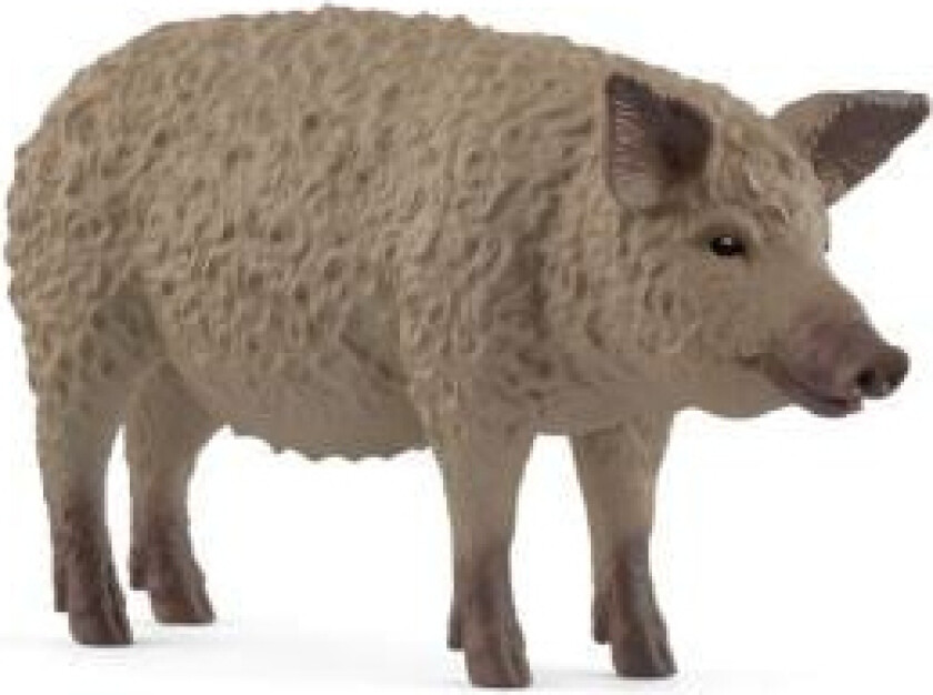 Mangalica