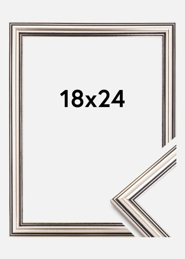 Focus Ramme Tango Sølv 18x24 Cm