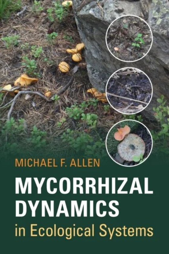 Mycorrhizal Dynamics in Ecological Systems av Michael F. Allen