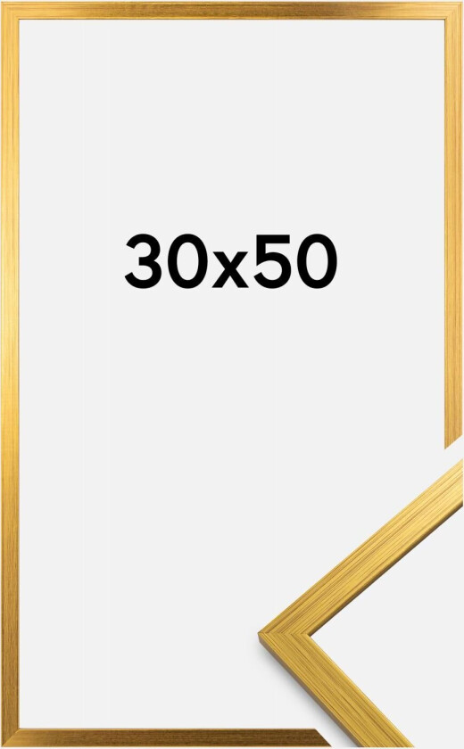 Ramme Edsbyn Akrylglass Gull 30x50 Cm