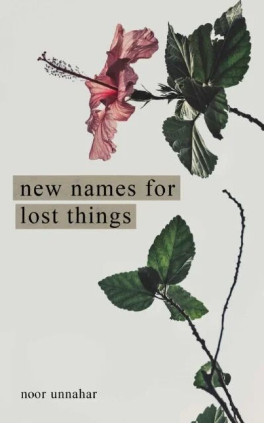 New Names for Lost Things av Noor Unnahar