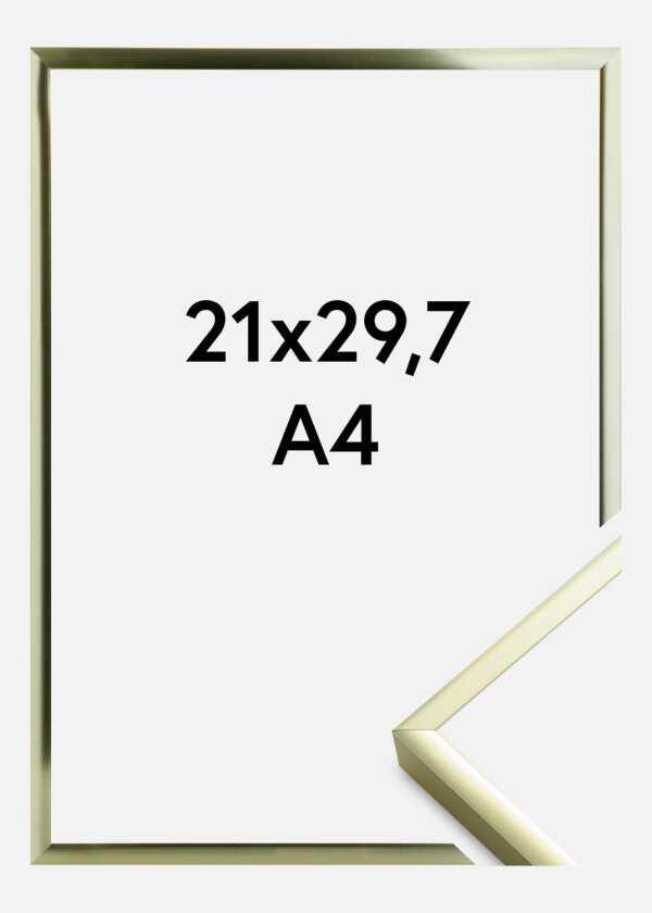 Ramme Poster Aluminum Gold 21x29,7 Cm (A4)