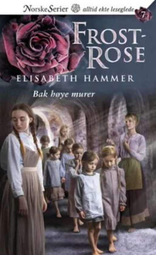 Bak høye murer av Elisabeth Hammer