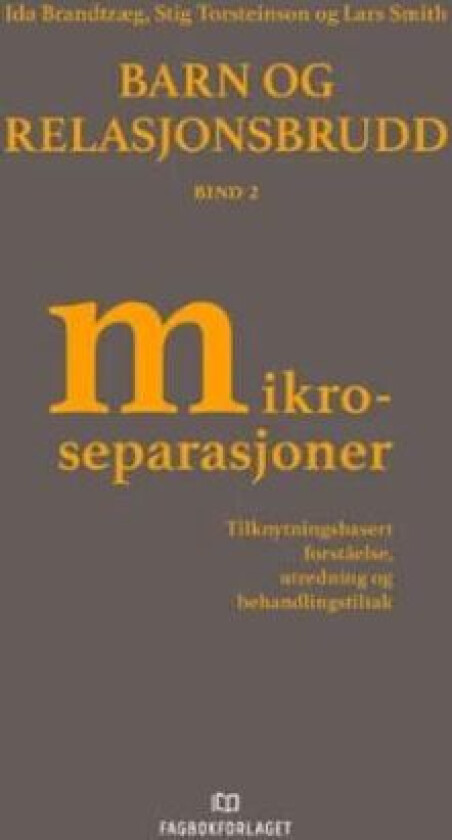 Barn og relasjonsbrudd av Ida Brandtzæg, Lars Smith, Stig Torsteinson