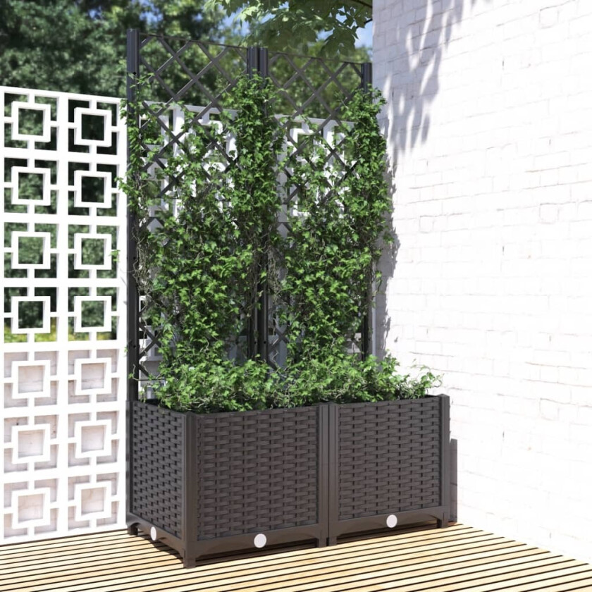 Plantekasse med espalier svart 80x40x136 cm PP