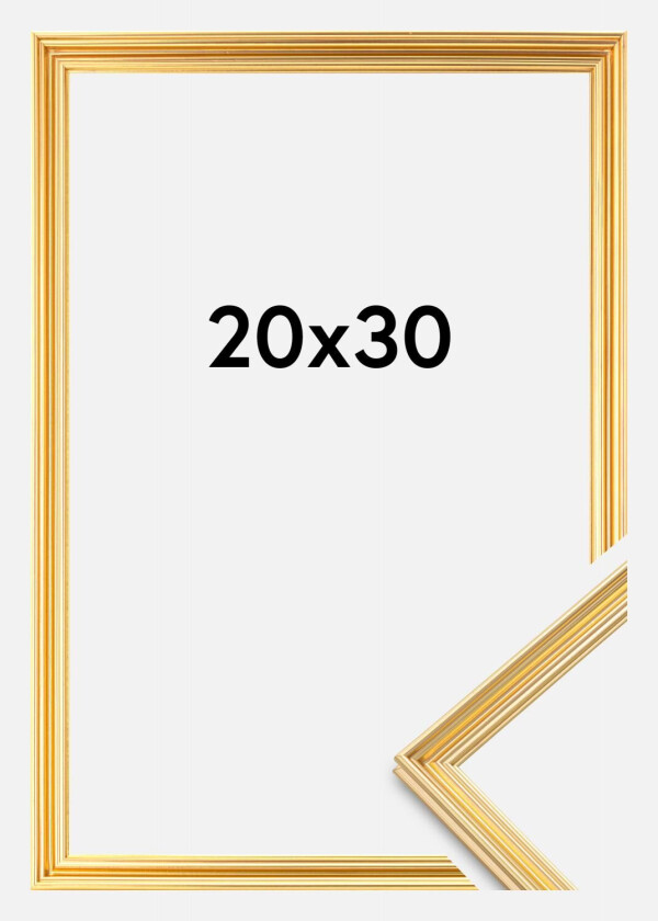 Focus Ramme Verona Gull 20x30 Cm