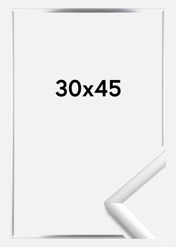 Ramme New Lifestyle Sølv 30x45 Cm