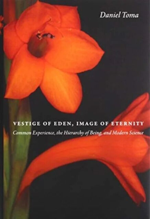 Vestige of Eden, Image of Eternity av Daniel Toma