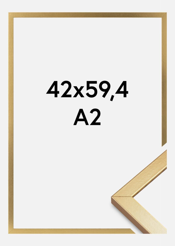 Ramme Minerva Akrylglass Gull 42x59,4 Cm (A2)