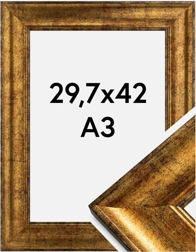 Ramme Saltsjöbaden Akrylglass Gull 29,7x42 Cm (A3)