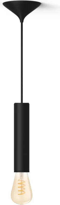 Pakke: Stor svart pendeledning for Filament-pærer + varm til kald hvit Filament ST72 Edison-pære