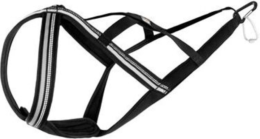 Dog Harness Nome Active