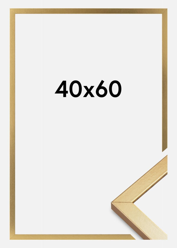 Ramme Minerva Akrylglass Gull 40x60 Cm