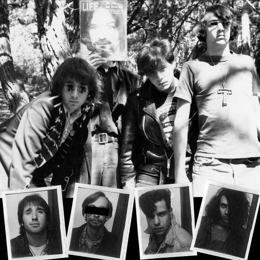 The Dwarves Lick It (198386) LP/Vinyl