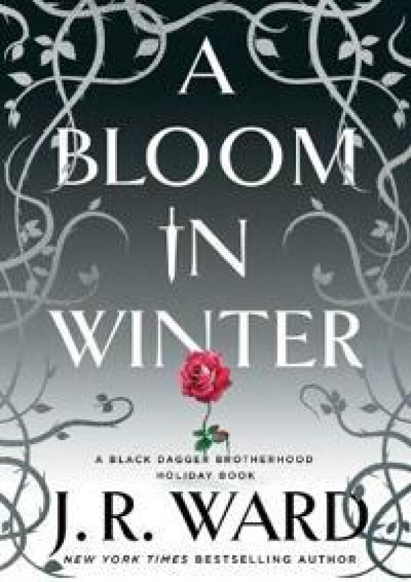 BLOOM IN WINTER