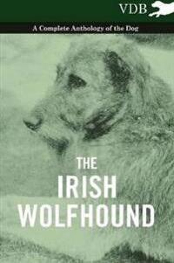 The Irish Wolfhound - A Complete Anthology of the Dog