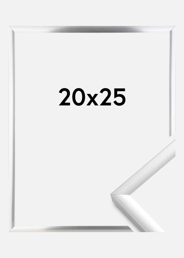 Ramme New Lifestyle Sølv 20x25 Cm