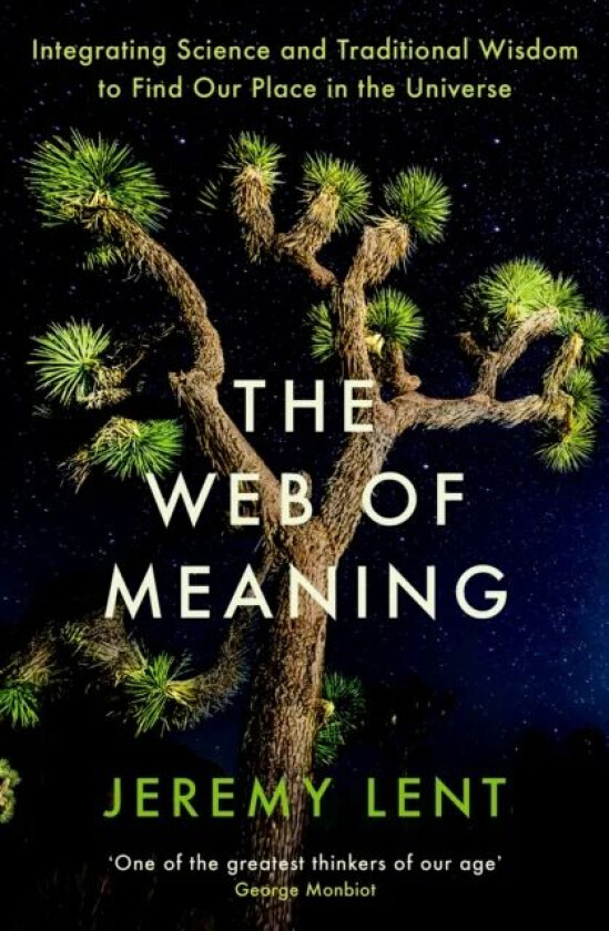 The Web of Meaning av Jeremy Lent