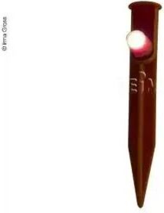 Teltplugg Med Led 4 Stk