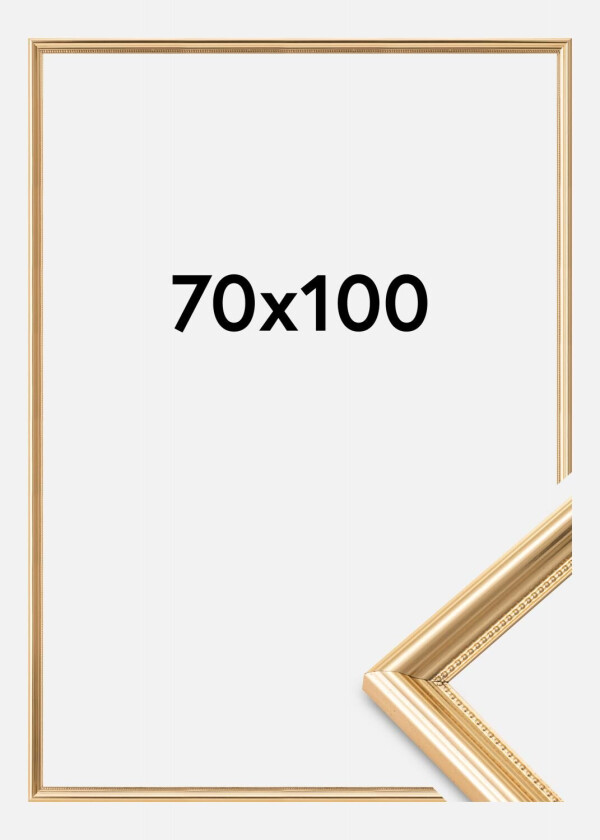 Ramme Gala Akrylglass Gull 70x100 Cm