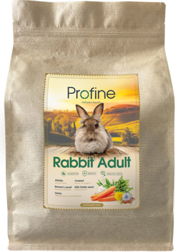 Animals Rabbit Adult 3kg