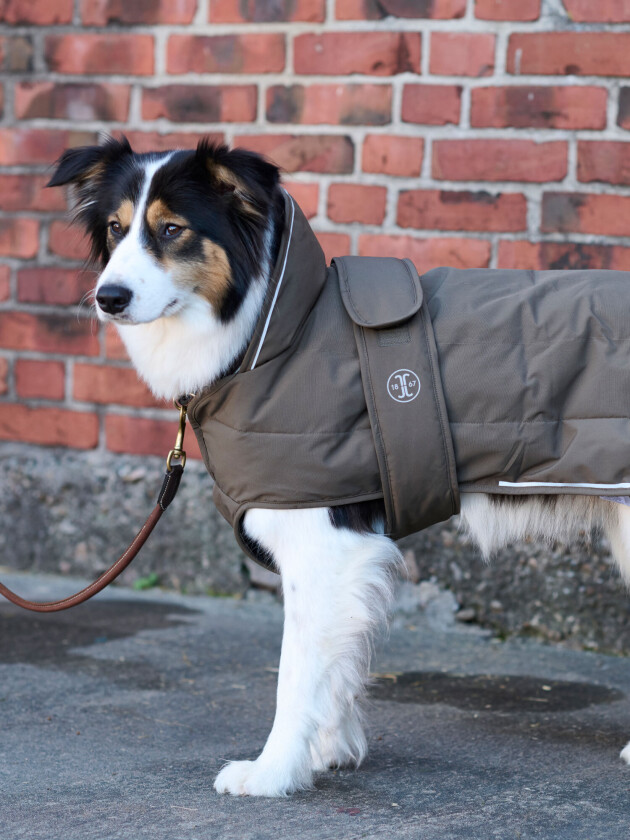 Rakel Hundedekken