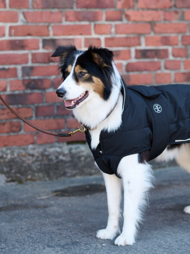 Rakel Hundedekken