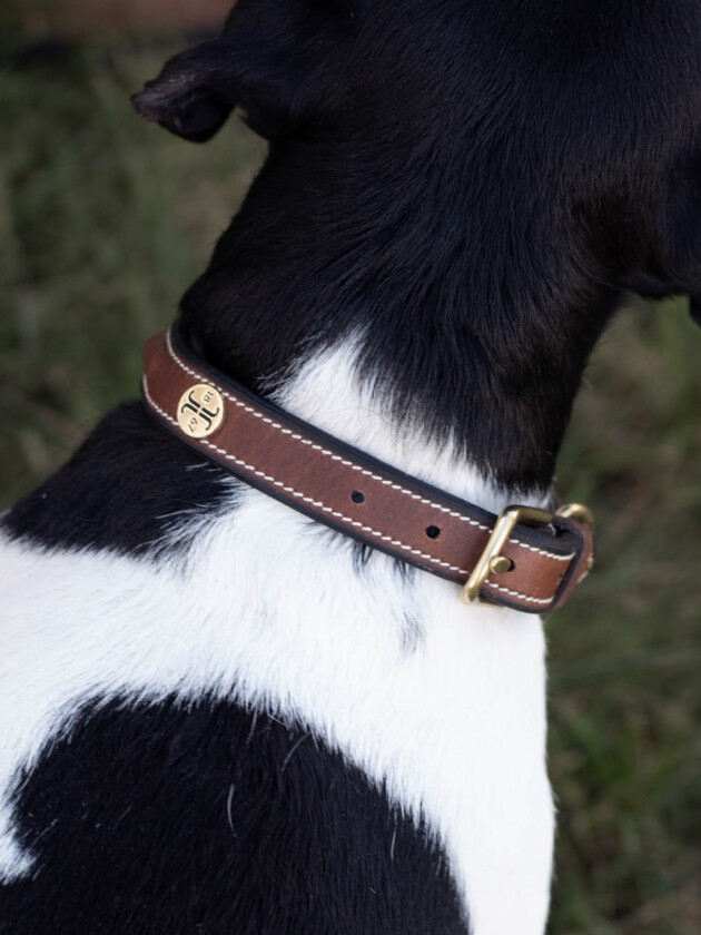 Halsband Arezzo