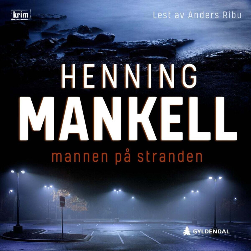 Mannen på stranden av Henning Mankell