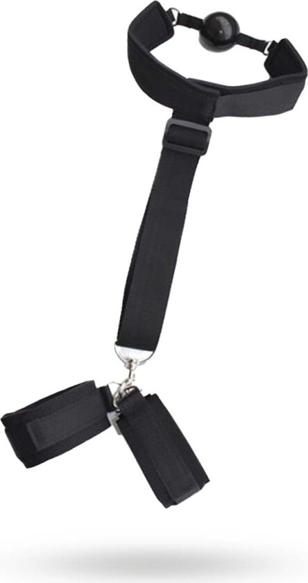 TOYZ4LOVERS Back Restraint + Gag