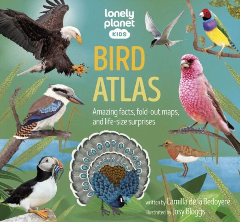 Lonely Planet Kids Bird Atlas av Lonely Planet Kids