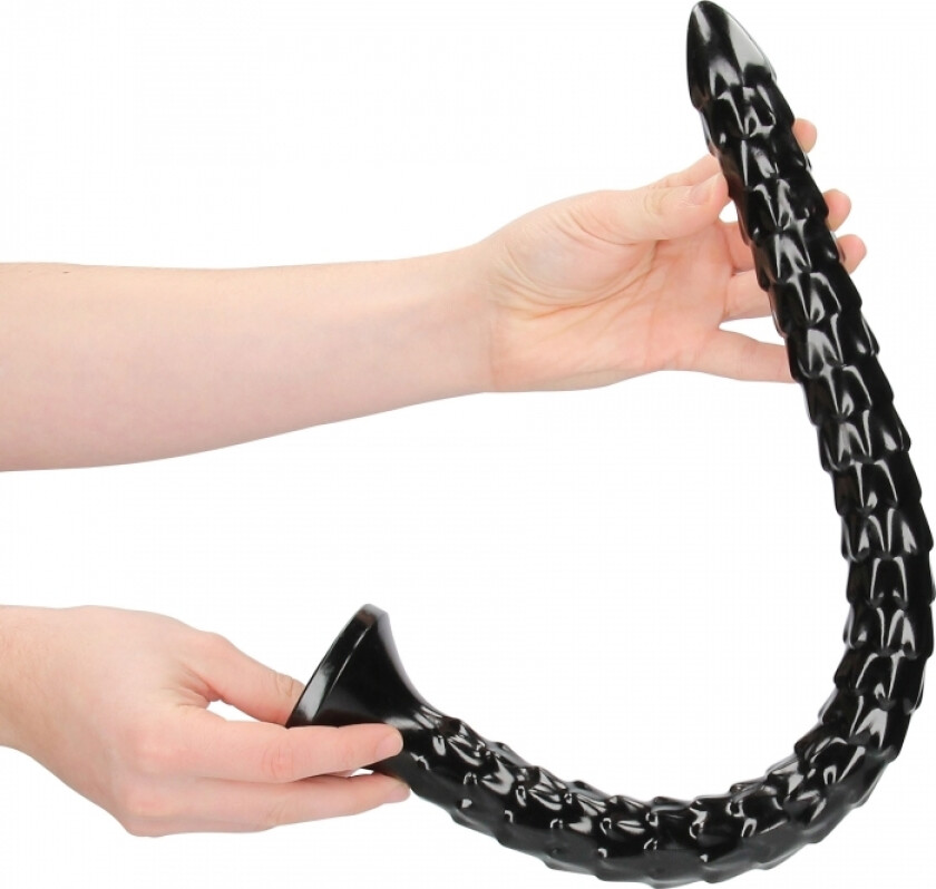 Scaled Anal Snake 50 cm