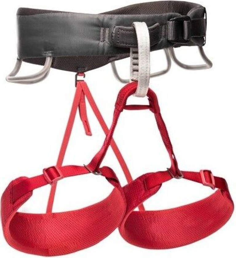 Momentum Harness Woman Wild Rose XSmall