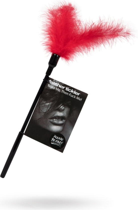 Tease Me Then Fuck Me Feather Tickler - Red