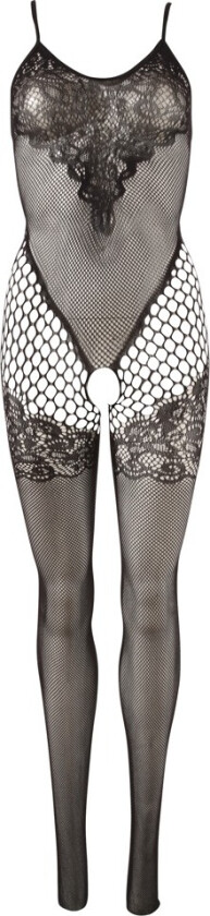 Lace Catsuit