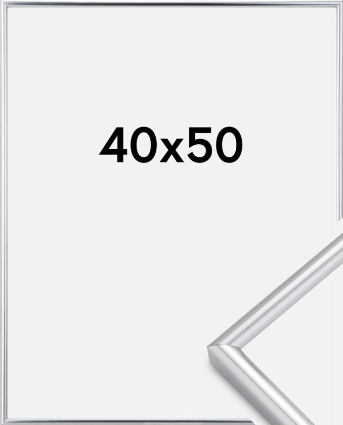 Ramme Galeria Sølv 40x50 Cm