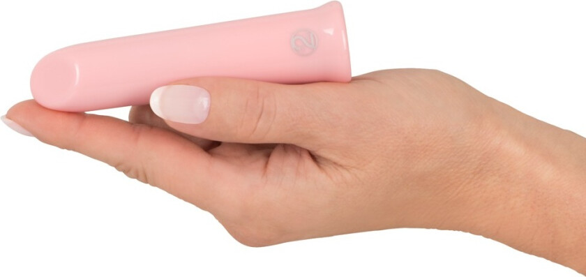 Shaker Vibe Mini Vibrator - Pink