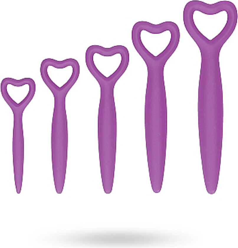 Silicone Vaginal Dilator Set - Purple