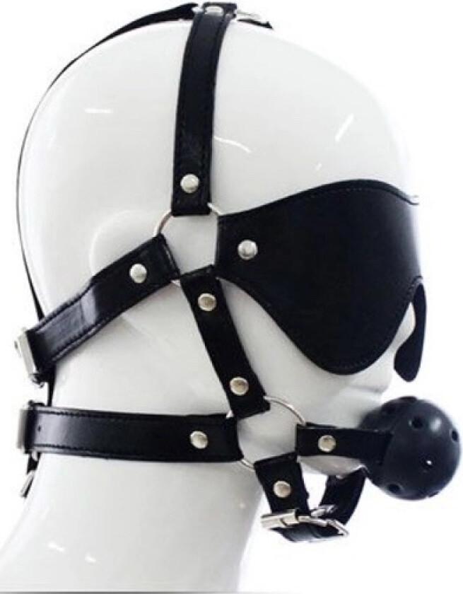 TOYZ4LOVERS Total Head Harness Restraint