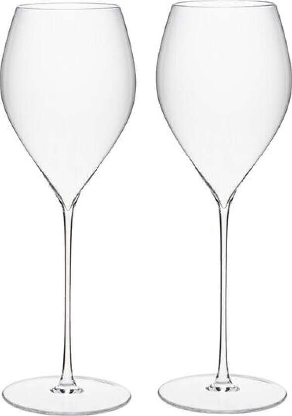 - Elegance champagneglass 29 cl 2 stk klar