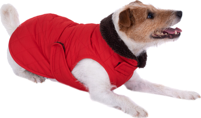 Hundejakke Steppmuster - ca. 60 cm Rygglengde