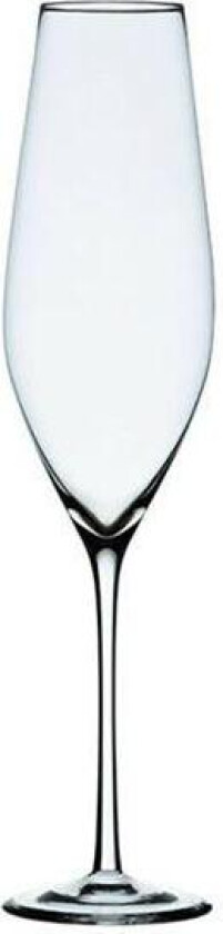 - Cabernet champagneglass 29 cl