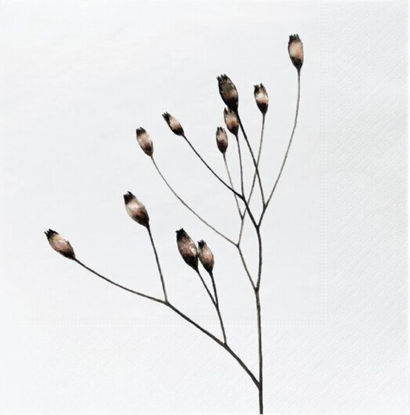 - Serviett 33x33 cm blomst valmue