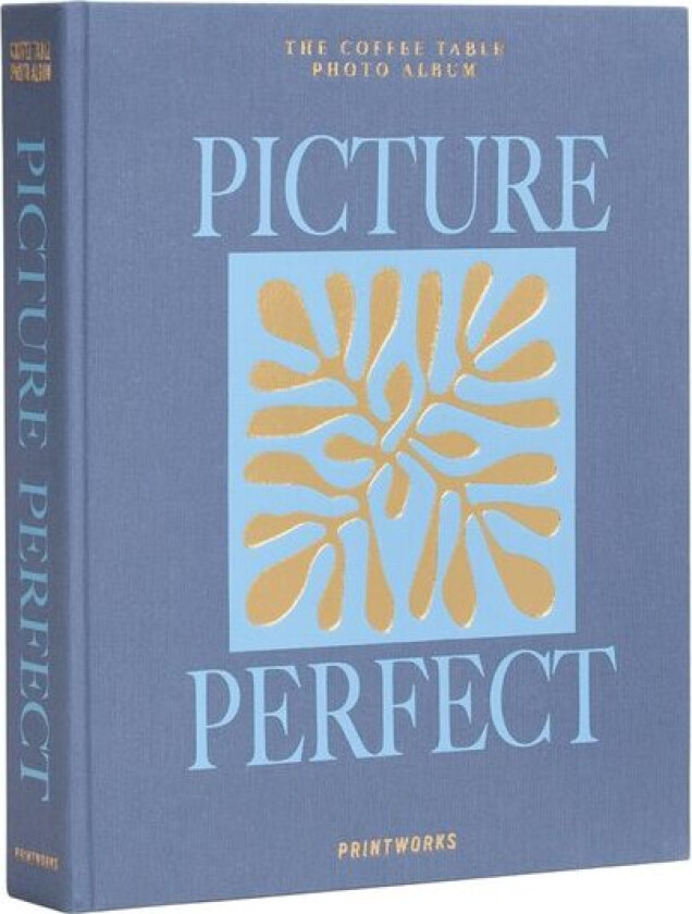 - Fotoalbum picture perfect blå